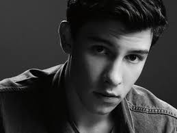Conhece Mesmo Shawn Mendes?