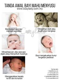 Latih penjaga bayi anda untuk menyusukan bayi menggunakan perahan susu daripada botol, sudu kecil atau cawan kecil. Tanda Awal Bayi Mahu Menyusu Cozy Lady