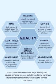 Understanding the 8M Process Assessment for Quality ...