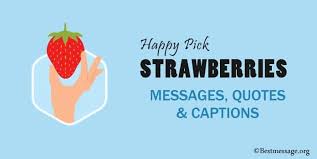 161 famous quotes about strawberry: Happy Pick Strawberries Day Messages Quotes Captions