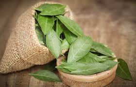 10 Home Remedies And Prevention Tips To Treat Thinning Hair Cure Thinning Hair Thin Hair Care Thick Hair Remedies
