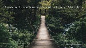A Walk In The Woods Walks The Soul Back Home Mary Davis Walk In The Woods Mental Strength Peak Performance