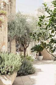 Amazing Mediterranean Garden Design Ideas 12 Mediterranean Garden Design Mediterranean Garden Modern Landscaping