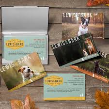 Order now and add a specialty finish. Lewis Bark Dog Walking And Pet Sitting Logo And Website Design Sniff Design Studio