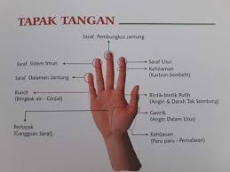 Asid ini selain menghasilkan angin juga boleh menyebabkan ulcer dan gastrik. Juniar Mawardi Tanda Tanda Pada Jari