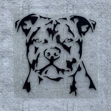American blue nose pit bull pitbull. Bugelbild Bulldogge Pitbull Hund Viele