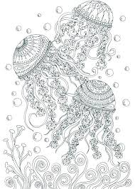 Ocean Coloring Pages Ocean Coloring Pages For Adults Best Ocean Free Ocean Themed Coloring P Ocean Coloring Pages Dolphin Coloring Pages Animal Coloring Pages