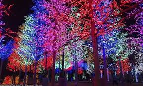 Zoolights At The Lincoln Park Zoo Zoo Lights Staycation Lincoln Park Zoo