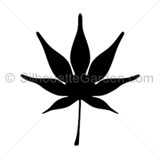 Japanese Maple Leaf Silhouette Leaf Silhouette Silhouette Clip Art Silhouette