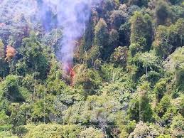 1 day ago · menurut saintis, ini susulan peningkatan dalam kadar penebangan pokok dan jumlah kebakaran hutan. Hutan Simpan Di Perak Terbakar