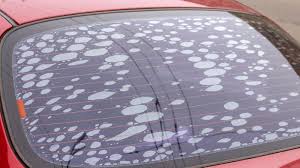 Finally, clean the window with. How To Remove Old Window Tint Best And Easiest Methods