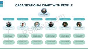 free organizational chart with profile organizational