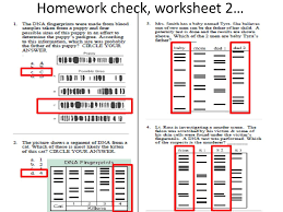 Conversely, if the two dna profiles do not match, then the evidence cannot have come from the suspect. Dna Fingerprinting Worksheet Printable Worksheets And Activities For Teachers Parents Tutors And Homeschool Families