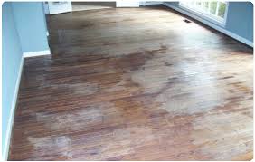 Formula 409 (antibacterial cleaning spray | formula 409®) is a general purpose cleaner. Lamanator Plus Cleans Shines Protects Laminate Floor