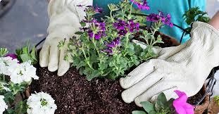 Check spelling or type a new query. How To Arrange Beautiful Potted Flowers Flower Baskets Ifa S Blog