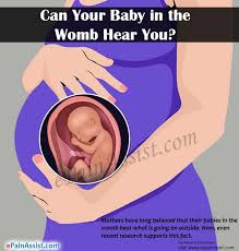 A team at the institute of cancer. Can Your Baby In The Womb Hear You How To Connect With Your Baby During Pregnancy
