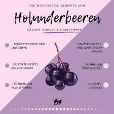 Holunder ist nicht nur als hollersirup oder hollersekt beliebt, sondern kommt auch als gebackene holunderblüten oder. Holunderbeeren Gesunde Kraftpakete Fur Das Immunsystem