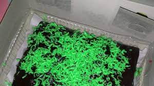 Simak dua resep bolu kukus yang bisa anda buat untuk hidangan berbuka puasa. Brownies Kulit Pisang Khas Lampung Unik Dan Lezat Cocok Untuk Oleh Oleh Tribunnews Com Mobile