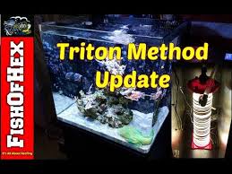 Our goal is to provide a friendly place to discuss and ask questions pertaining to the marine and saltwater reef aquarium hobby. Aquaticlog Video By Fishofhex Posted Video Diy Chaeto Reactor For Triton Method Test Build