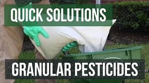 Headway fungicide is a combination of two broad spectrum, preventative fungicides with systemic properties recommended for the control of many important. Headway G Fungicide Solutions Pest Lawn