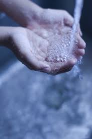 my kitchen sink? plumber plymouth mn