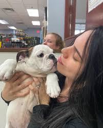 Laura Elena（@lau.elen）• Instagram 相片與影片