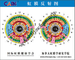 chinese eye diagnosis chart iriscope iridology camera