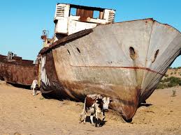 Photos of the Moynaq Ship Cemetery in Uzbekistan Desert - Business Insider