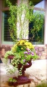 Since 2014, willow bonsai shop has been offering our customers the best selection of bonsai willow bonsai is a family run business. One Dwarf Weeping Willow Tree Cutting Excellent Bonsai Tree Unique And Small Indoor Outdoor Tree Shrub Plant Burning Bush Weeping Willow No Pot Or Soil Ships Bare Root Gardening Patio Lawn Garden