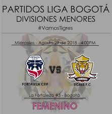 Las cinco noticias más leídas. Hoy Juegan Las Tigresas Tigres Futbol Club Facebook