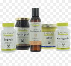 But then where is the practice of having fun and living life if we are trying so hard at being pure? Ayurveda And Yoga Alcoholism Substance Dependence Liquid Others Medicine Addiction Juice Fasting Png Pngwing