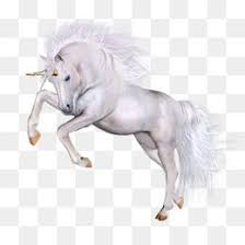 Unicorn Unicorn Clipart Horse Png Transparent Clipart Image And Psd File For Free Download Unicorns Clipart Unicorn Illustration Unicorn Horse