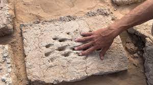 تول قيادة مدينتك من العصر الحجري على مدار قرون وشكّل إمبراطورية واسعة! Ø§Ù„Ø¹ØµØ± Ø§Ù„Ø­Ø¯ÙŠØ¯ÙŠ ÙÙŠ Ø§Ù„Ø¹ÙŠÙ† Youtube