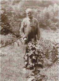 Burl Stover (1861-1943)