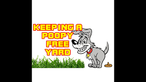 During the 70's i worked a lot in i did this after repeatedly (and politely) asking my neighbor to stop his dog from pooping on my yard. 6 Tips To Keep Dogs From Pooping On Your Lawn