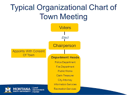 Mt Local Government Review Ppt Video Online Download