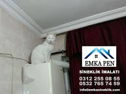 Kedi Sineklik 0532 765 74 59