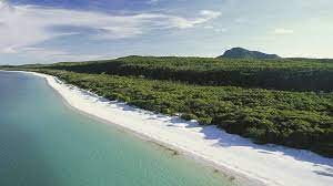 It covers total area of 715,309 sq mi and has estimated population of 4,516,361(census 2010). Queensland Offers Cash Bonus To Attract Tourism Workers Bbc News