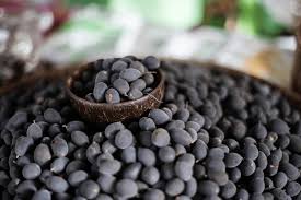 Image result for Dialium