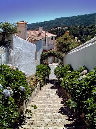 The range is famous for its wild and generally varied plant life, as Monchique Algarve Travel Tips