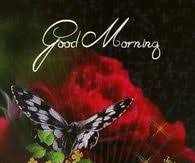 Good friday message, quote and greetings : Good Morning Friday Pictures Photos Images And Pics For Facebook Tumblr Pinterest And Twitter