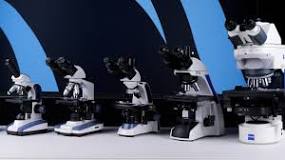 What Microscope to Buy in 2024 | Micro Safari