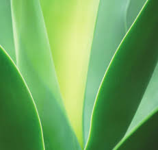 What Would Florence Do?