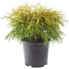 Pin On Landscaping