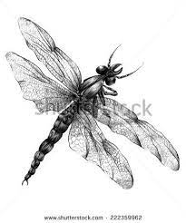 Pin On Trendy Imagess