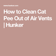 How To Clean Cat Pee Out Of Air Vents Cleaning Cat Pee Cleaning Marble Floors