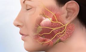 Resultado de imagen de nervios