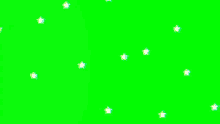 Plants aesthetic green aesthetic gif wifflegif. Funny Green Screen Backgrounds Gifs Tenor