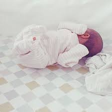 olli ella on instagram like a tiny curled up kitten is this sweet little babe on her bednest harlequin sheets by organic baby bedding baby bed organic baby