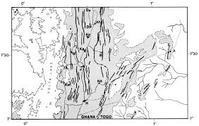 Image result for Campylostemon angolense